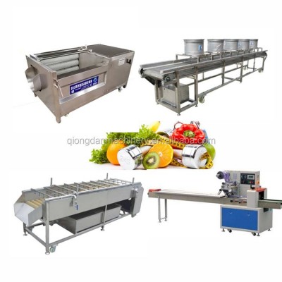 Automatic Fruit And Vegetable Processing Machine Vegetable Washing Machine With Best Price For Hot Sale