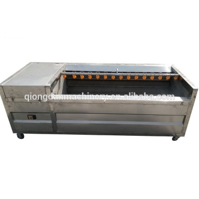 Fruit and vegetable olive Washing Most Professional Dates Cleaning Machine vegetable washing machine price