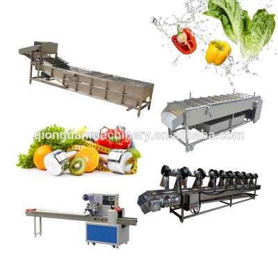 1000kg/h vegetable fruit washing processing plant Frozen/fresh vegetable fruit Production line